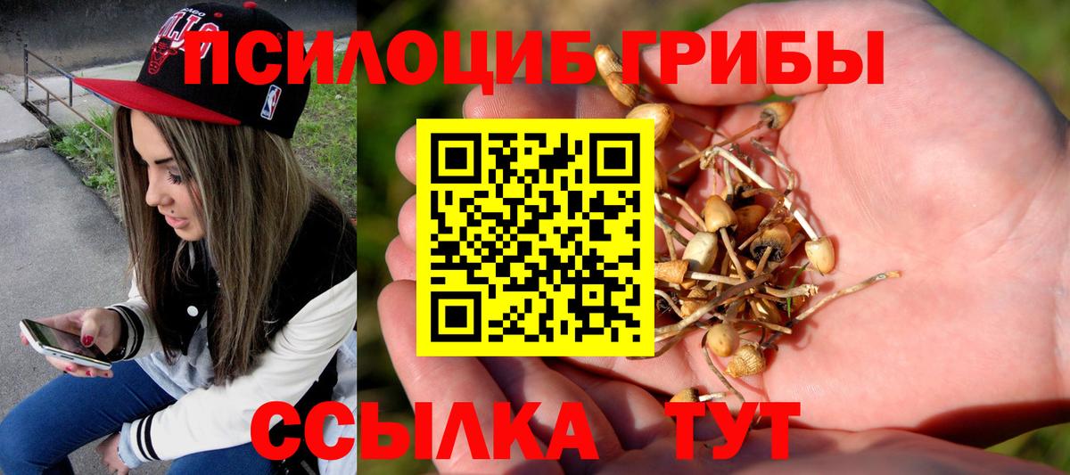 Галлюциногенные грибы мухоморы Балахна